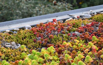 the cost of Muswell Hill green roof installation