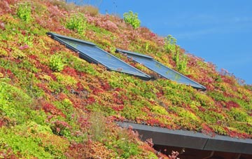 Muswell Hill living roof systems
