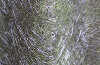 Muswell Hill fibreglass roof work